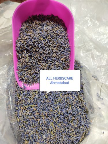 Dry Lavender Flower - Color: Black