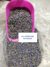 Dry Lavender Flower - Color: Purple