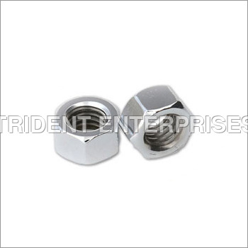 Stainless Steel Nut By TRIDENT ENTERPRISES