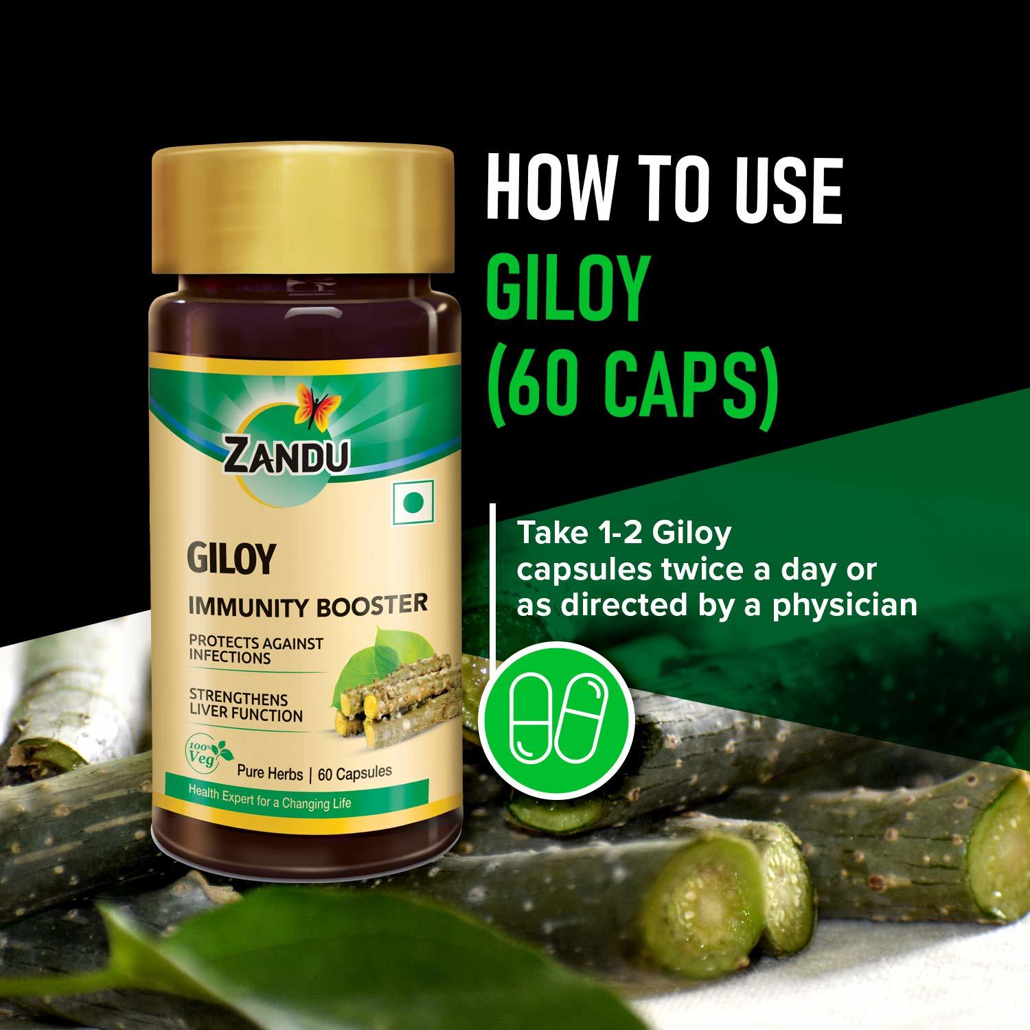 Zandu Giloy Capsules (Guduchi) - 60 Veg Capsules
