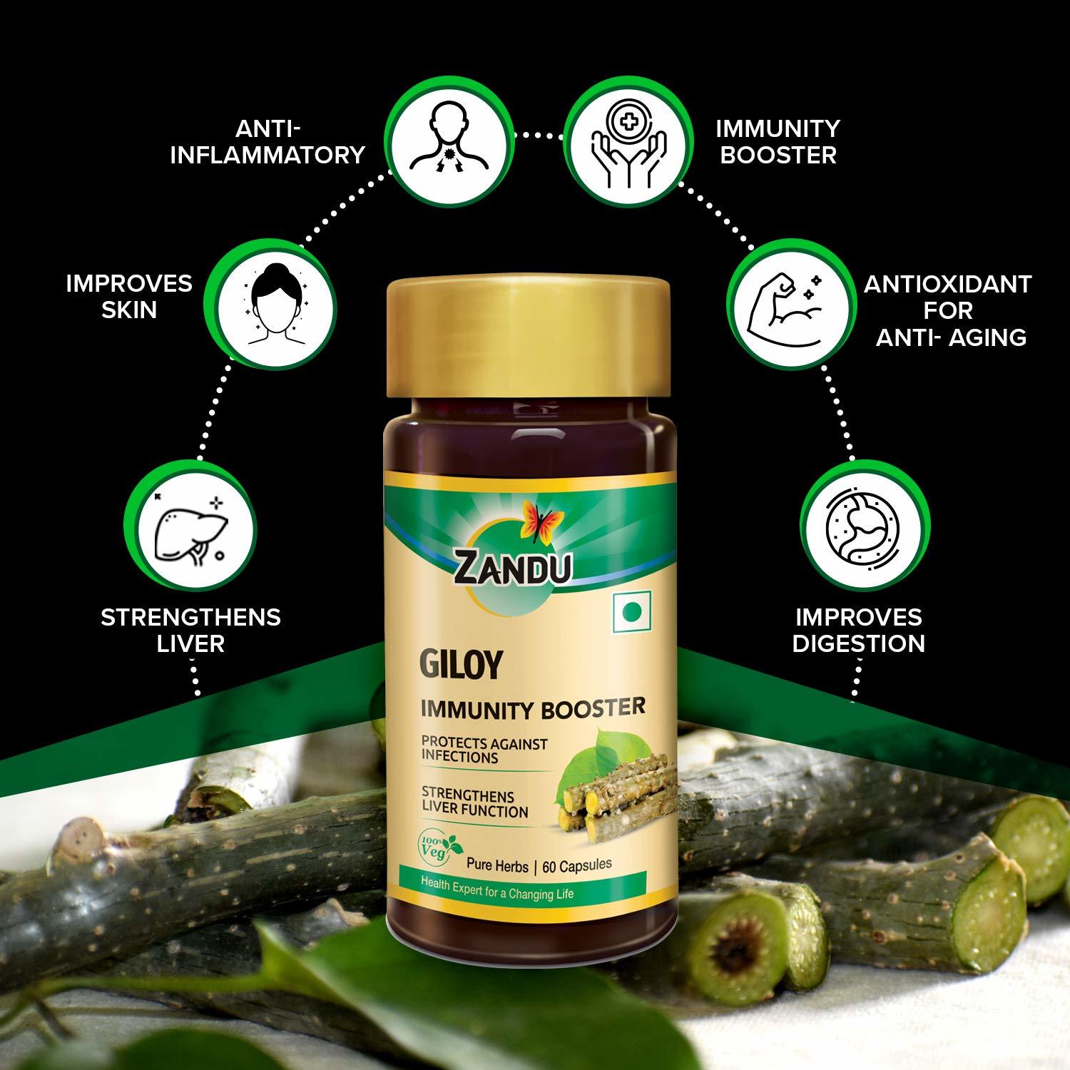 Zandu Giloy Capsules (Guduchi) - 60 Veg Capsules