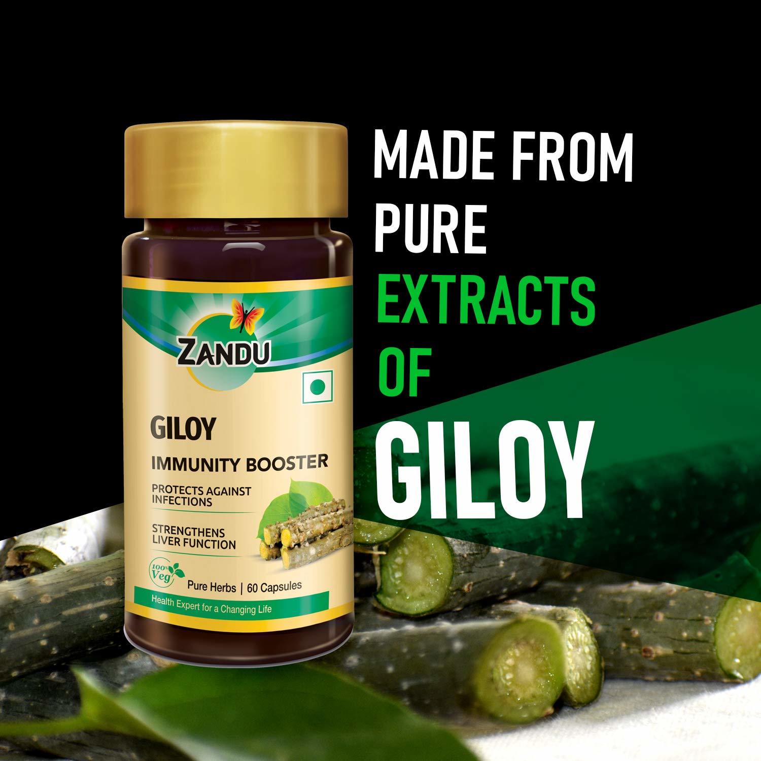 Zandu Giloy Capsules (Guduchi) - 60 Veg Capsules