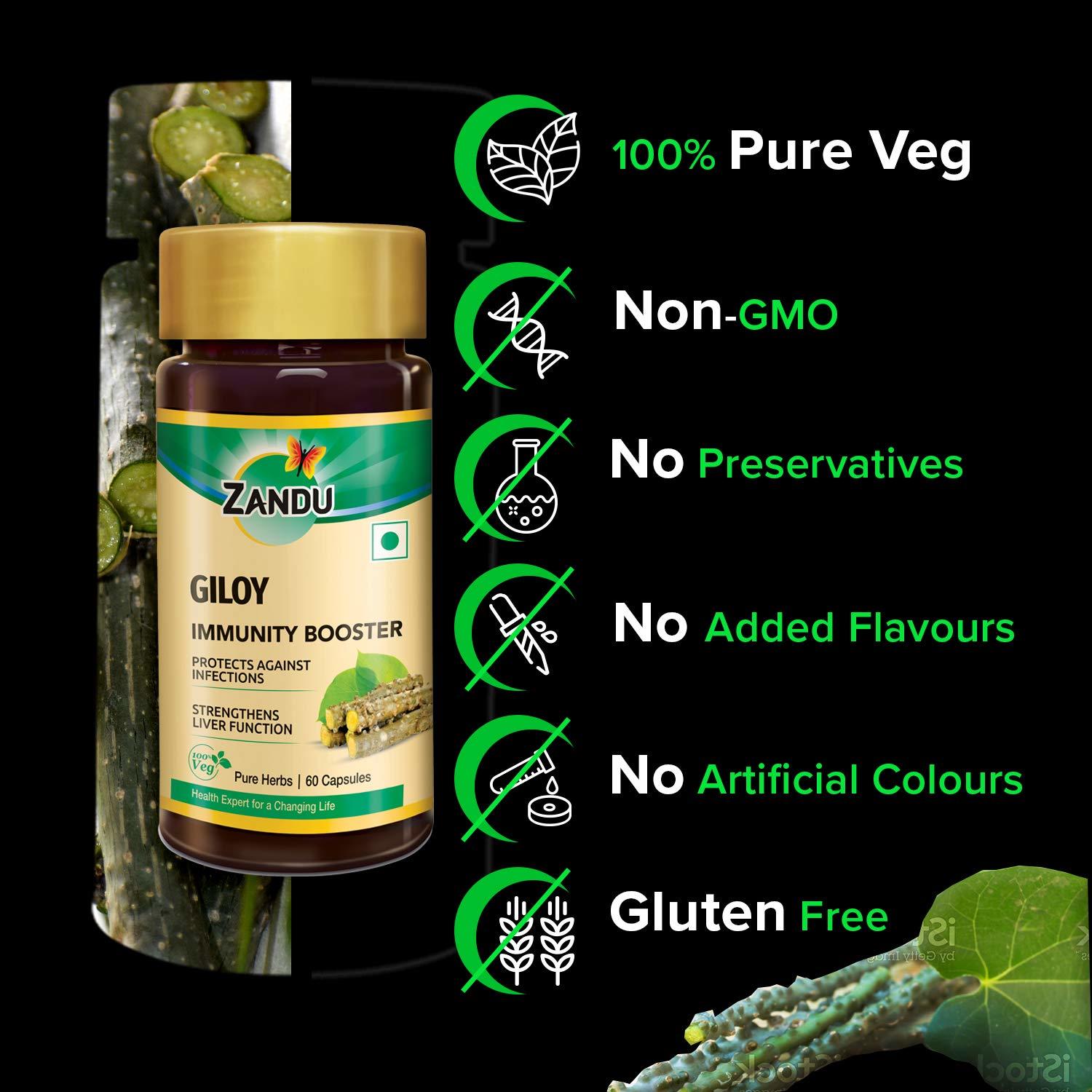 Zandu Giloy Capsules (Guduchi) - 60 Veg Capsules