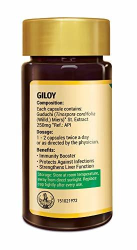 Zandu Giloy Capsules (Guduchi) - 60 Veg Capsules