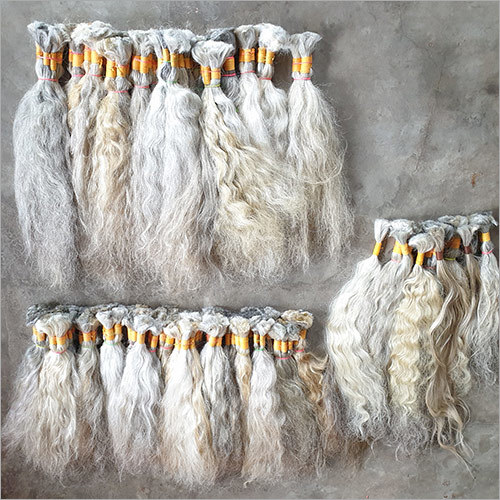 Indian Human Hair Lace Front Wigs