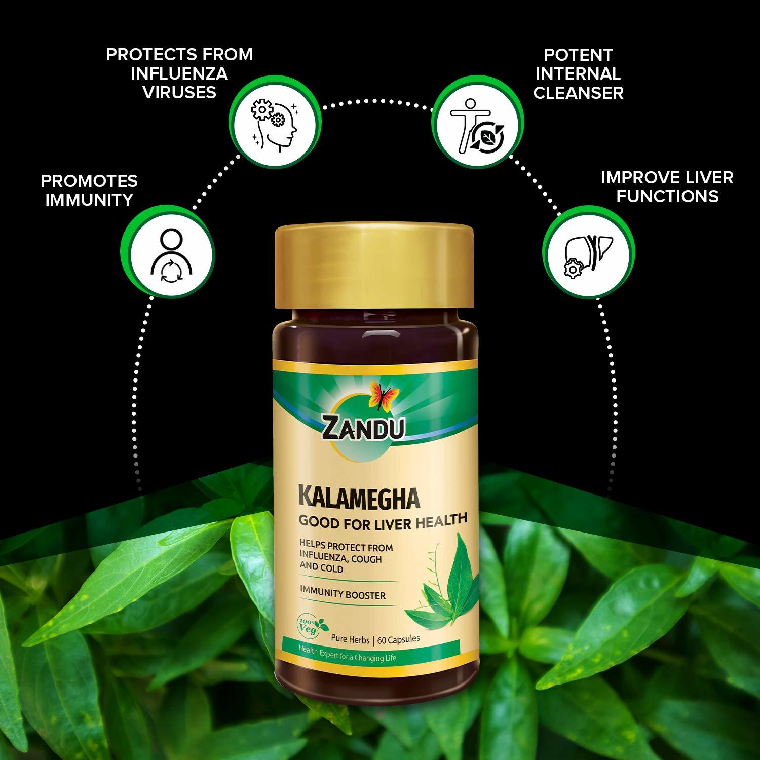 Zandu Kalamegha, An Ayurvedic Health Booster - 60 Veg Capsules
