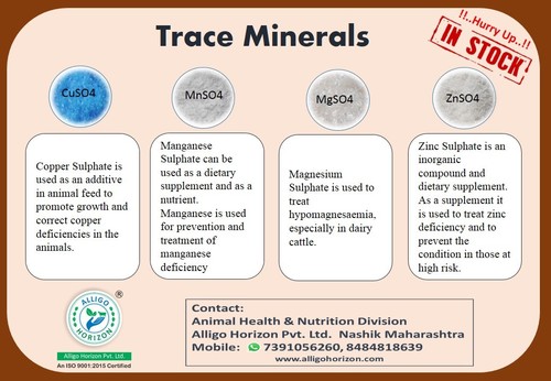 Poultry supplement