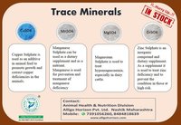 Trace Minerals