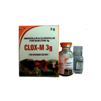Amoxicillin With Cloxacillin For Injection