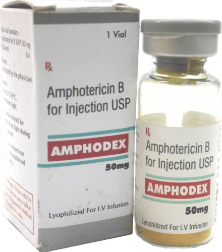Amphotericin B for Injection