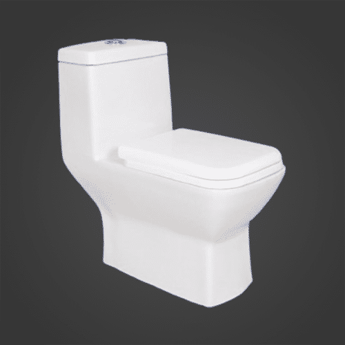 Fenix One Piece Toilet