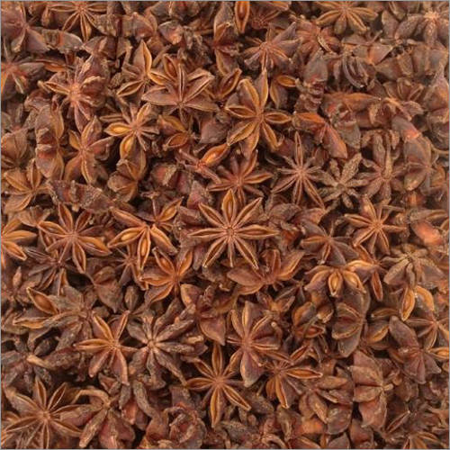 Brown Star Anise Flower