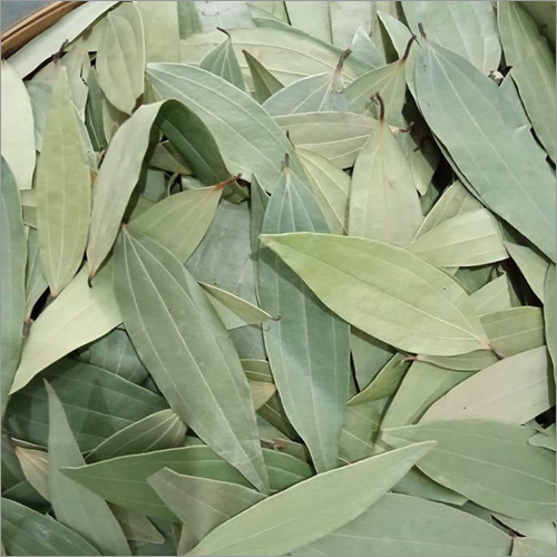 Bay Leaf