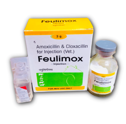 Ampicillin and Cloxacillin For Injection