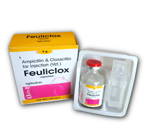 Ampicillin and Cloxacillin For Injection