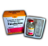 Ampicillin and Cloxacillin For Injection