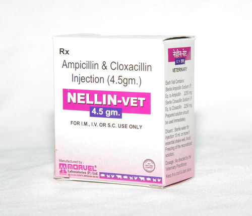 Liquid Ampicillin And Cloxacillin For Injection At Best Price In Surat Saintroy Lifescience