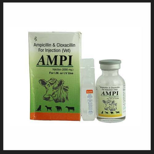 Ampicillin and Cloxacillin For Injection