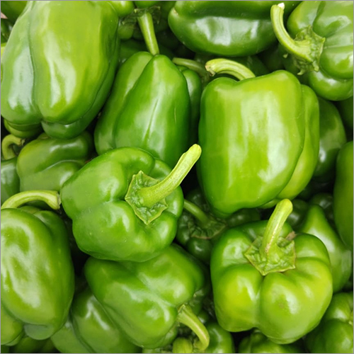Capsicum Green By JIJAI FRUITS AND VEGETABLES SUPPLIERS