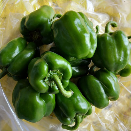 Natural Capsicum