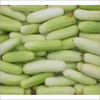 Natural Cucumber