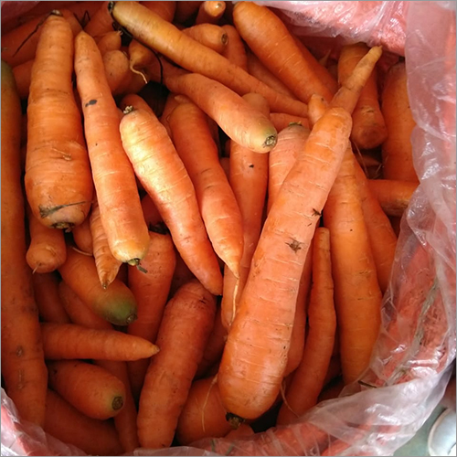 Natural Carrot Moisture (%): 98 -100%