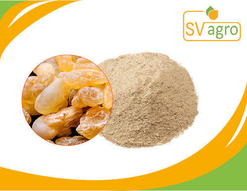 Boswellia Serrata Extract Powder