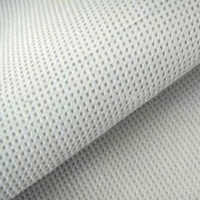 PP Spunbond Non Woven Fabric