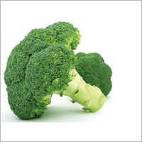 Broccoli Extract