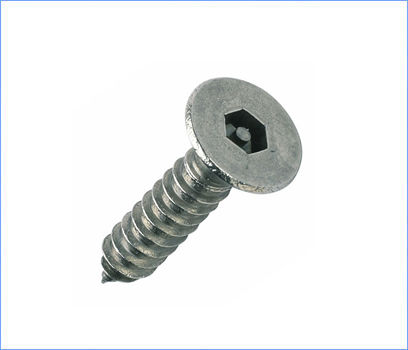 Pin Torx Security Self Tapping Screws