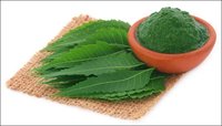 20:1 Neem Extract