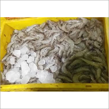 Frozen Prawn Weight: As Per Requirement  Kilograms (Kg)