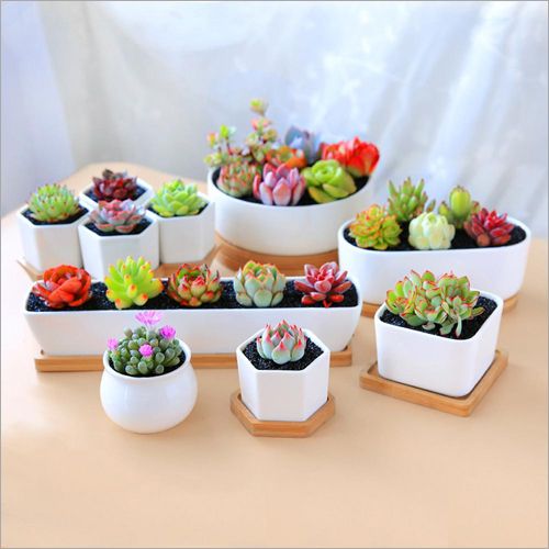 Ceramic Mini Flower Pot