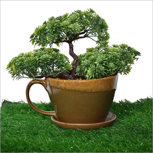 Ceramic Cup Saucer Bonsai Planter Pot