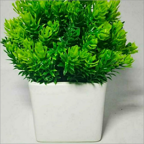 Square Shape Plant Pot