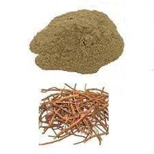 Brown Chitrakmool Dry Extract