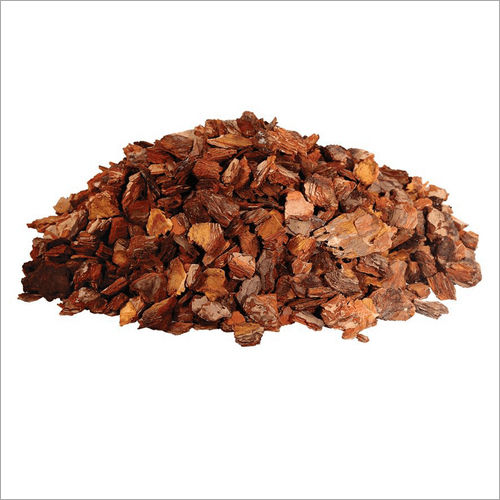 Pine Bark Extract