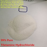99% Purity Tiletamine HCl Powder Factory Supply