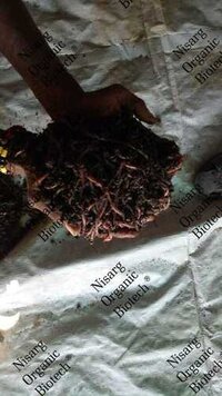 Agriculture Vermicompost Fertilizer
