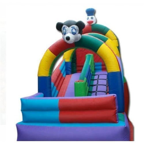 Inflatable Ball And Mickey Bounce