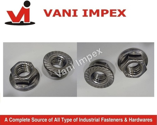 SS 304 Flange Nut
