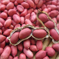 Peanuts
