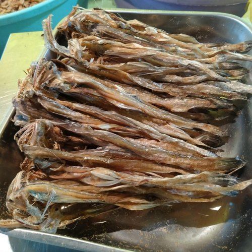 Dry Bombay Duck Fish