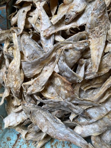 Mandeli Dry Fish By HANGZHOU WINBUILD CO., LTD.