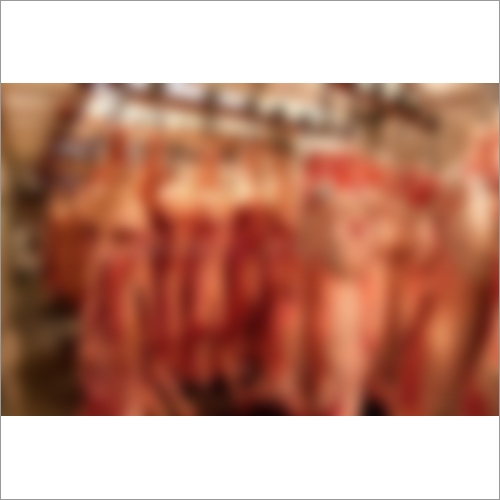 Frozen Pork Feet