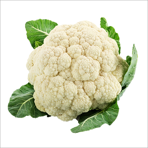 Cauliflower By ANGELIFY MULTINATIONAL PRIVATE LIMITED