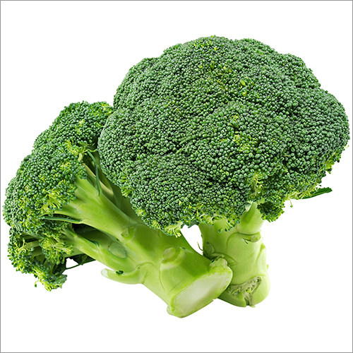 Broccoli By ANGELIFY MULTINATIONAL PRIVATE LIMITED