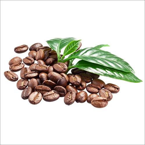 Coffee Bean By ANGELIFY MULTINATIONAL PRIVATE LIMITED