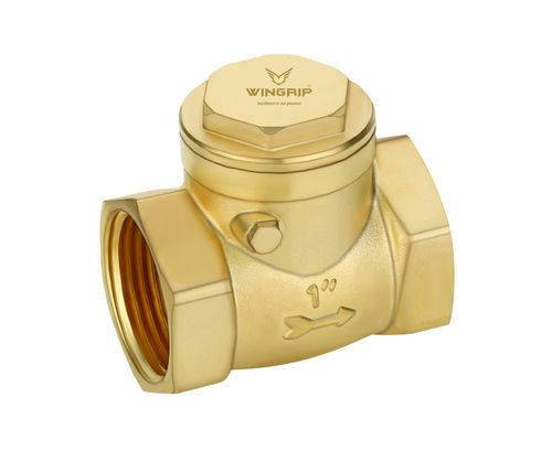 Brass Horizontal Non Return Valve