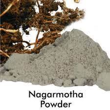 Nagermotha Dry Extracy